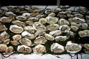 oyster bar food station